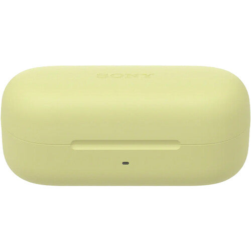Sony WF-C510 True Wireless Earphones
