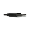 Targus AEH102TT Wired Stereo Headset