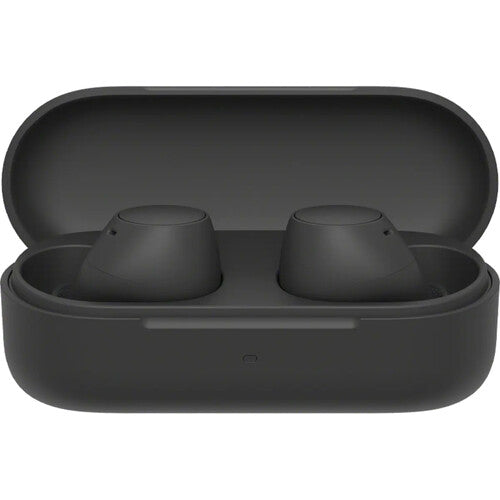 Sony WF-C510 True Wireless Earphones