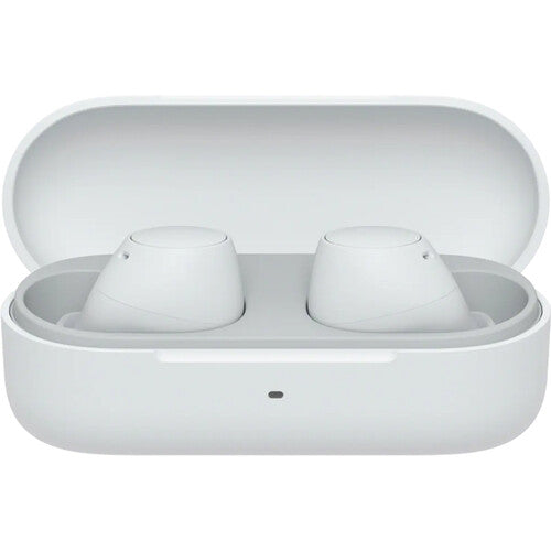Sony WF-C510 True Wireless Earphones