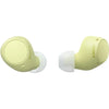 Sony WF-C510 True Wireless Earphones