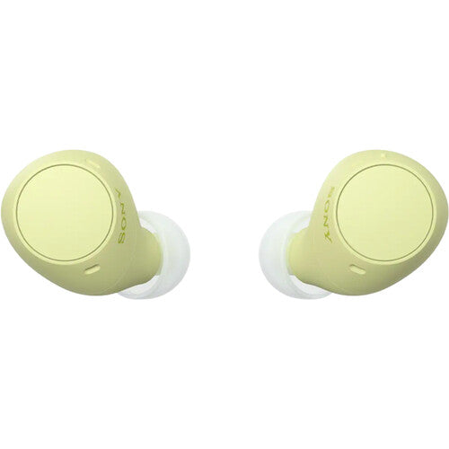 Sony WF-C510 True Wireless Earphones