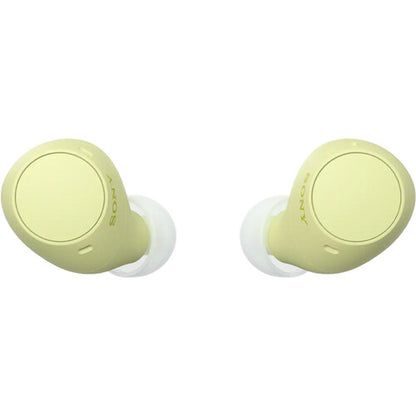 Sony WF-C510 True Wireless Earphones
