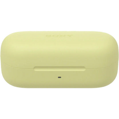 Sony WF-C510 True Wireless Earphones