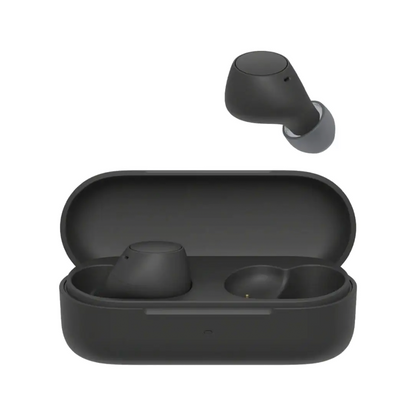 Sony WF-C510 True Wireless Earphones